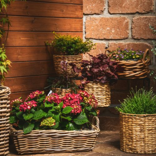 Sázení (placeholder)